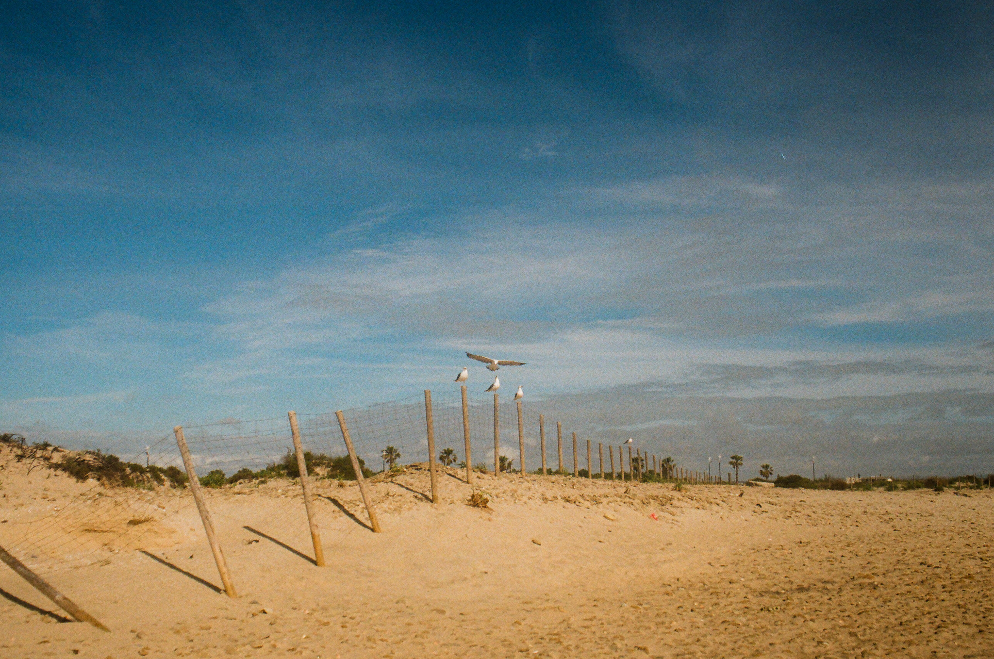 color-film - 6.jpg